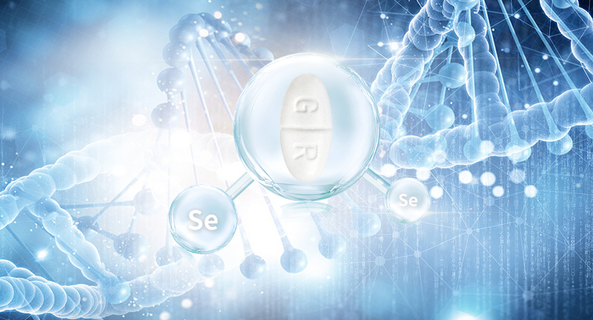 桂仁營(yíng)養(yǎng)-研發(fā)能力