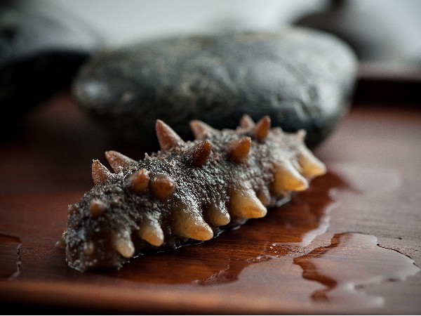 海參需長(zhǎng)期食用，保健作用更持久