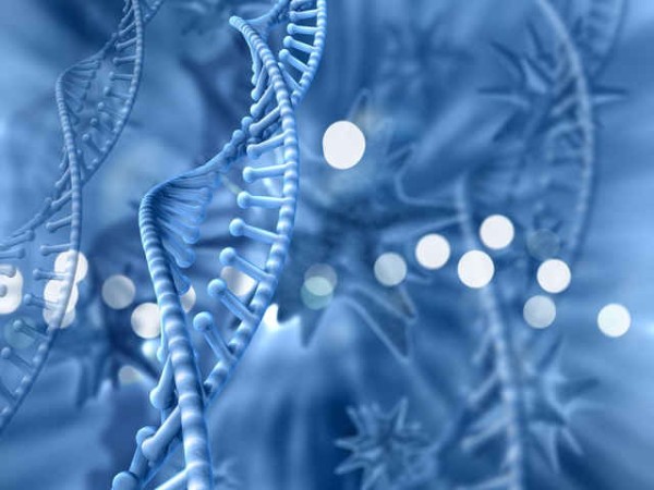 得癌后，為什么很多醫(yī)生會(huì)讓患者多多補(bǔ)充硒元素呢？