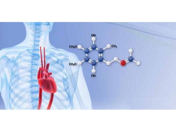 桂仁科普：輔酶Q10流失的原因是什么？