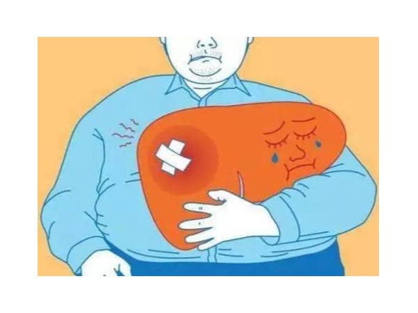 養(yǎng)肝五大訣竅，硒和五味子的那些秘密