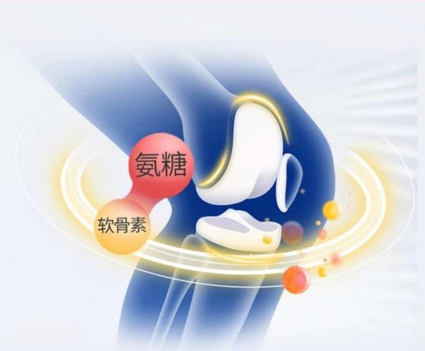守護(hù)關(guān)節(jié)健康 揭秘氨糖軟骨素的作用