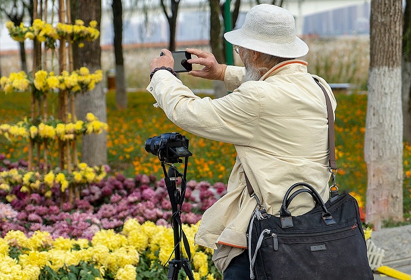 千庫網(wǎng)_重陽節(jié)老人菊花 攝影_攝影圖編號96061