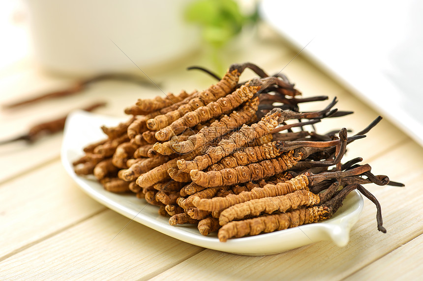 冬蟲夏草：深入解析其學(xué)名、分類與健康奧秘