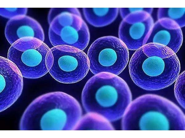 為什么吃硒沒有效果？你肯定做錯了這個