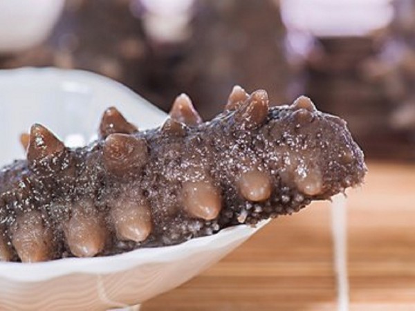 海參的營養(yǎng)價值都適合誰吃？