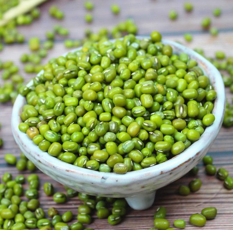 綠豆：穿越千年的夏日養(yǎng)生圣品