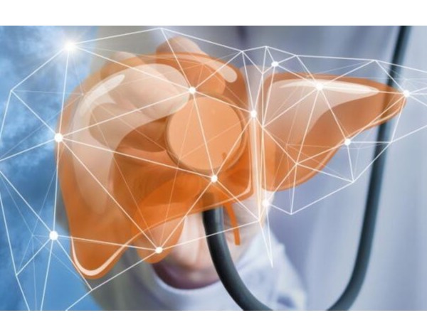 常補這些元素可以養(yǎng)肝排毒，還你一個干凈健康的肝