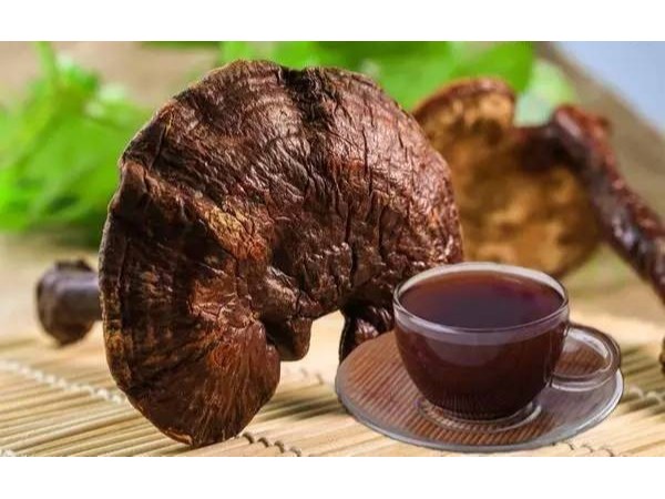 桂仁小課堂——靈芝孢子粉月經(jīng)期間還能吃嗎？