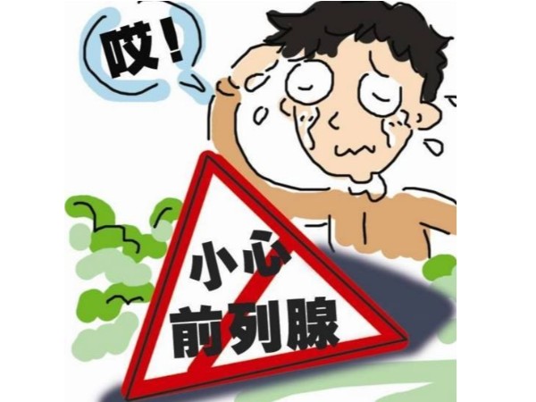 補(bǔ)硒科普 | 前列腺誰都有，多了解才是最重要的