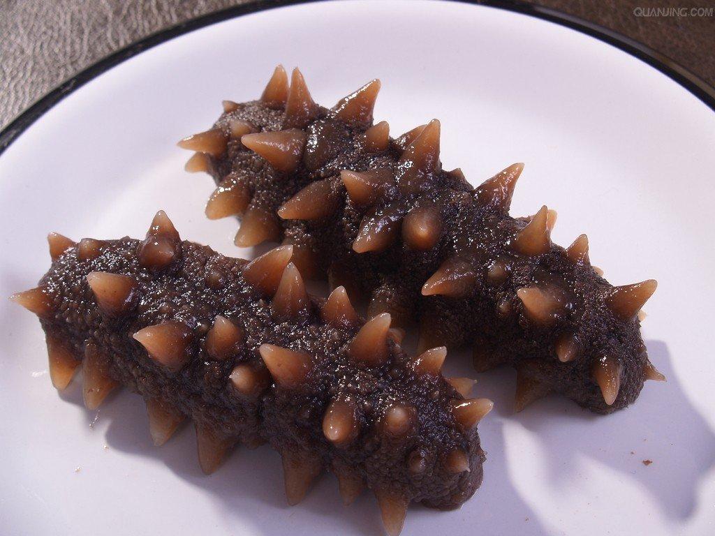 經(jīng)常吃海參，對(duì)身體有什么好處？